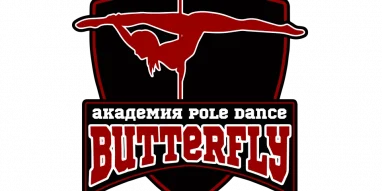 Академия танцев на пилоне Butterfly pole dance studio фотография 1