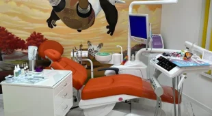 Детская стоматологическая клиника Панда фотография 2