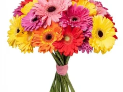 Центр цветов на Совнаркомовской улице 