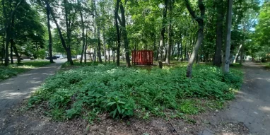 Парк имени Я.М.Свердлова фотография 4