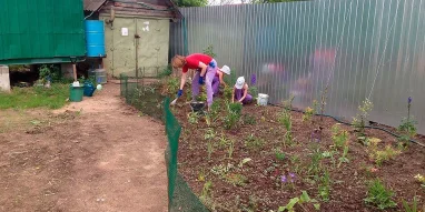 Доскинец фотография 2