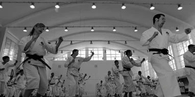 Школа боевых искусств Сёриндзи Кэмпо фотография 6
