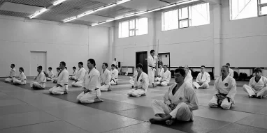 Школа боевых искусств Сёриндзи Кэмпо фотография 7
