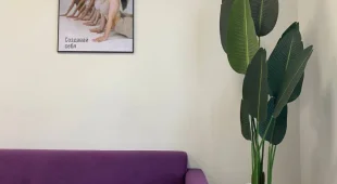 Студия растяжки Lady Stretch на Южном шоссе фотография 2