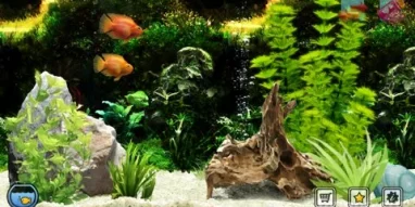 Магазин аквариумов и зоотоваров Аквариф фотография 5