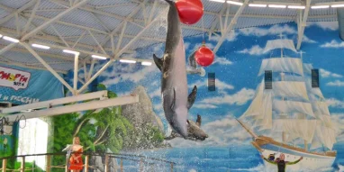 Парк Нижегородский дельфинарий 