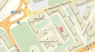 Территориальный фонд обязательного медицинского страхования Нижегородской области на площади Свободы 