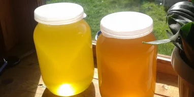 Натуральный мёд из Сорокоумово фотография 7