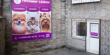 Зоосалон Чеширский кот на улице Богдановича фотография 6