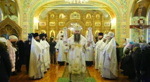 Храм Благовещения Пресвятой Богородицы фотография 2