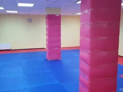 Школа боевых искусств СЭНЭ 